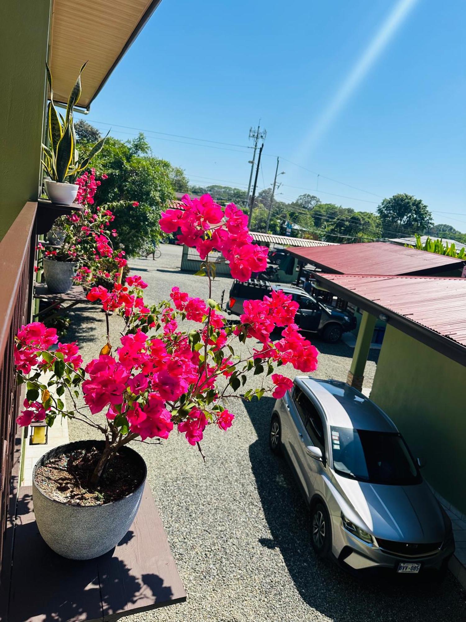 Hotel La Fiore De Bahia Uvita Eksteriør billede