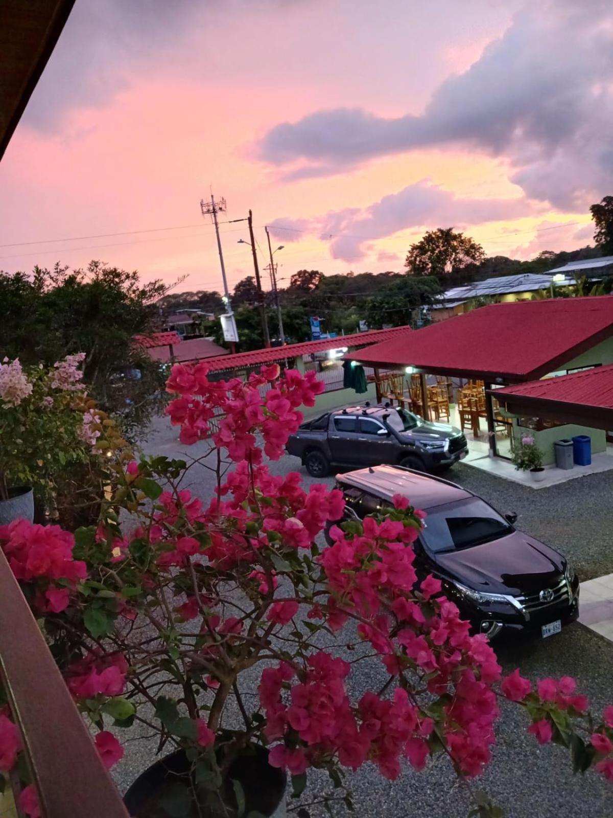 Hotel La Fiore De Bahia Uvita Eksteriør billede